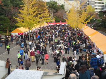 ミャンマー祭り